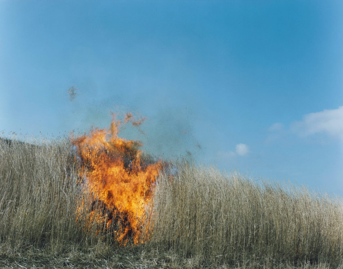 Rinko Kawauchi — Illuminance, Ametsuchi, Seeing Shadow
