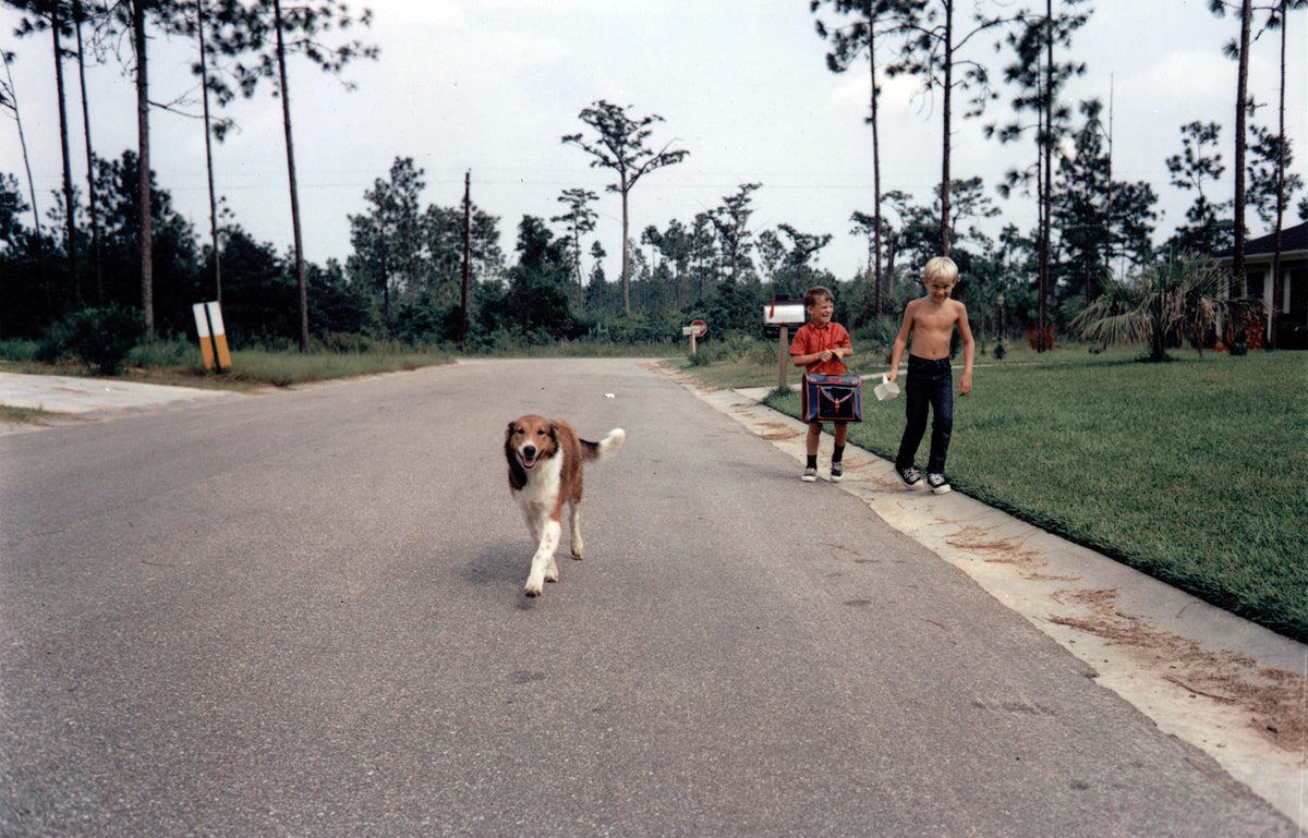 William Eggleston — William Eggleston's Guide
