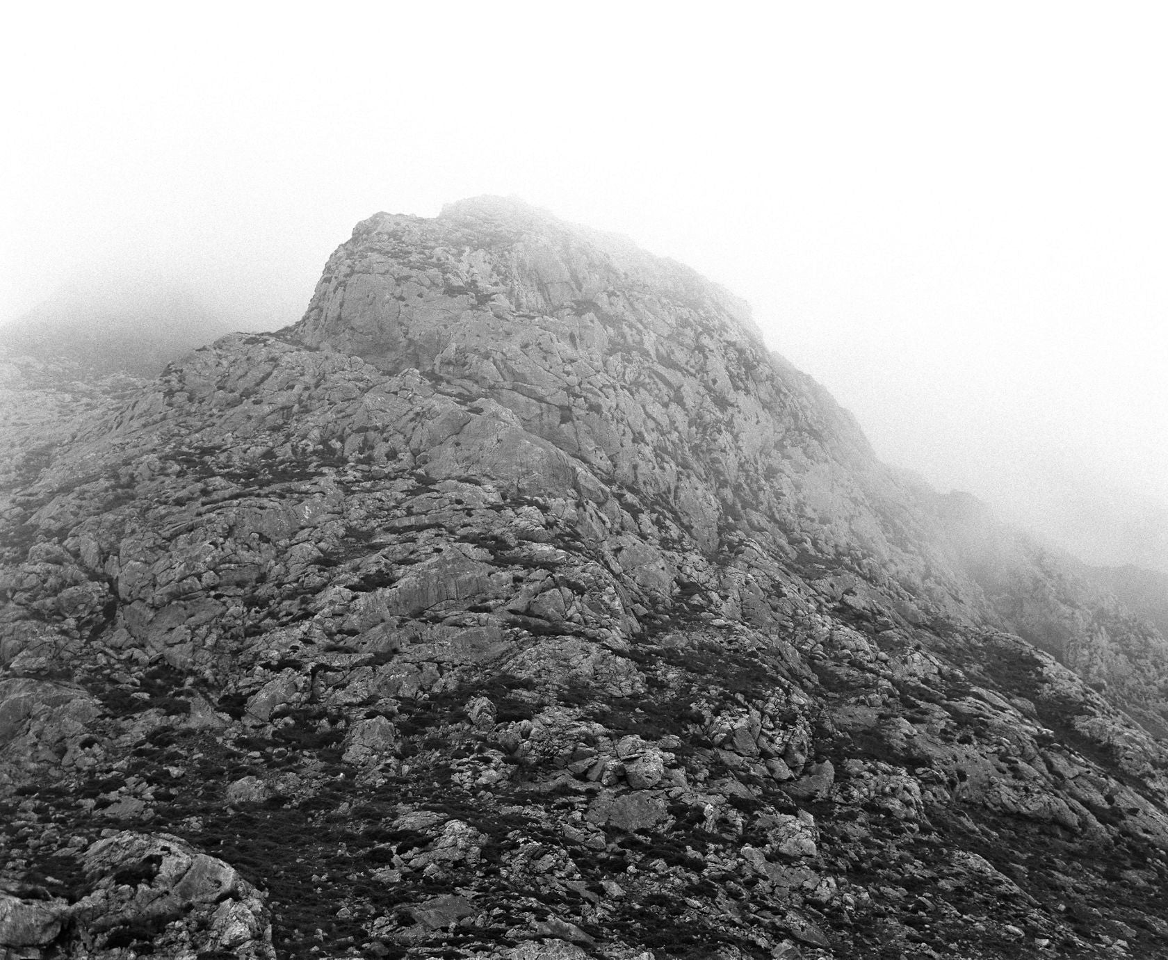 Awoiska van der Molen — Sequester