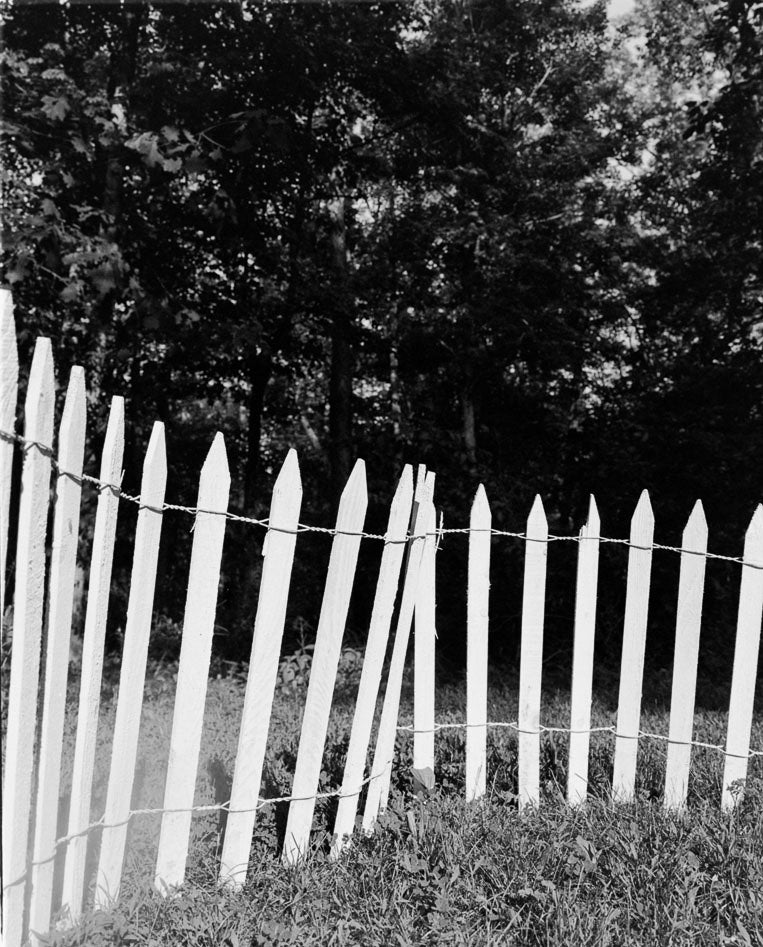 Collier Schorr — Neighbors / Nachbarn – Wolf Books