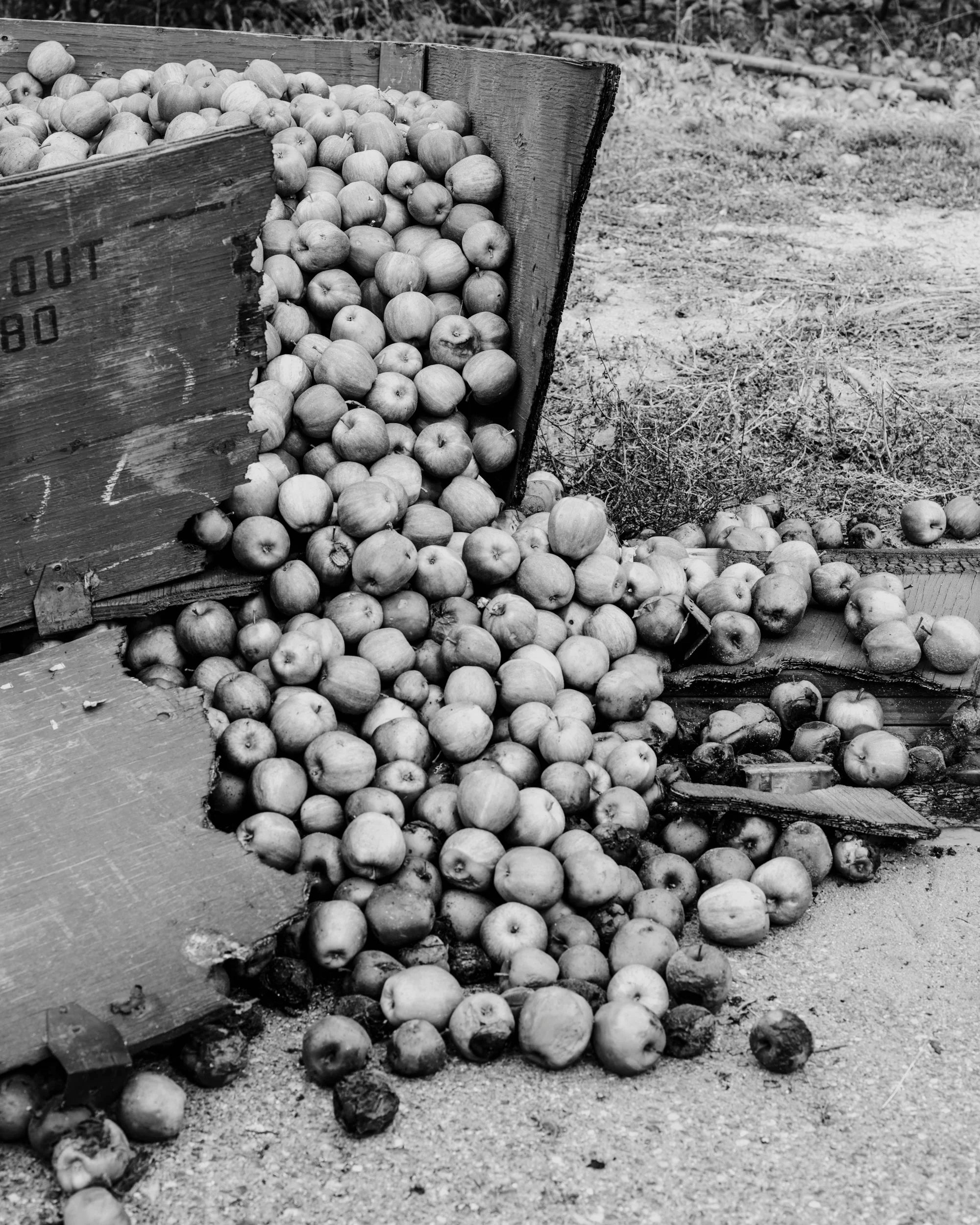 Ian Bates — The Weight of Ash