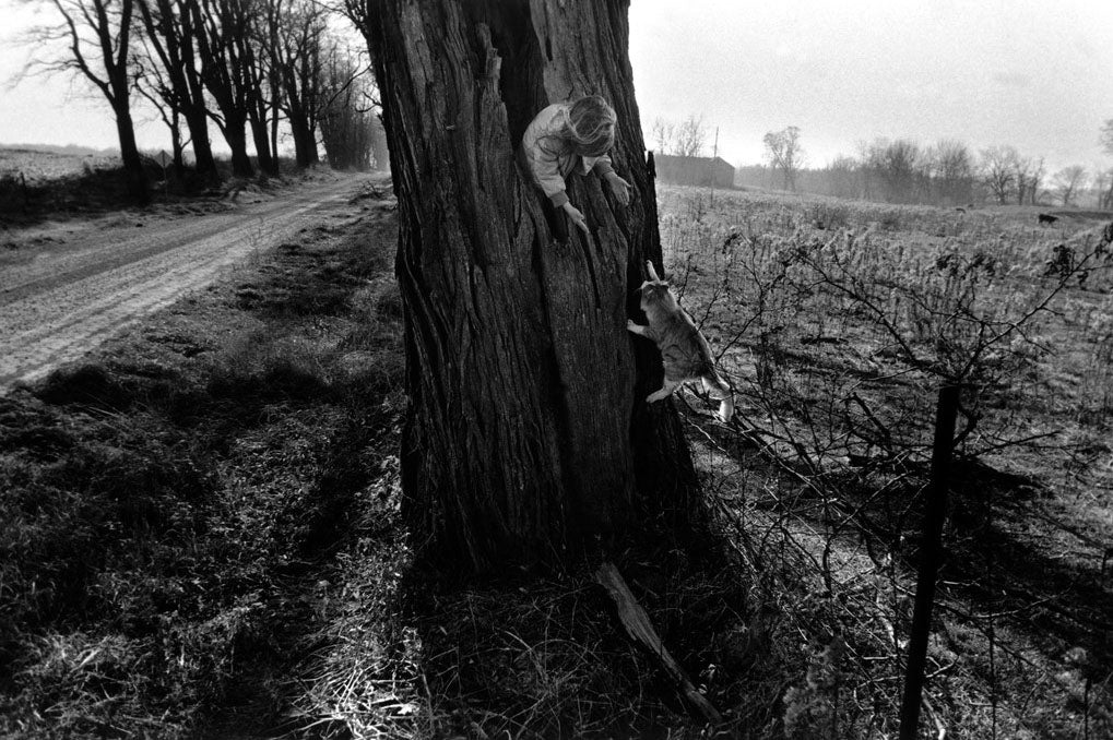 Larry Towell — The World from my Front Porch