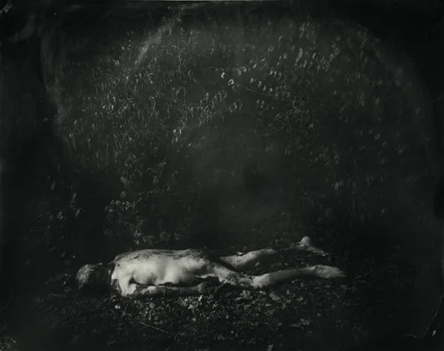 Sally Mann — What Remains