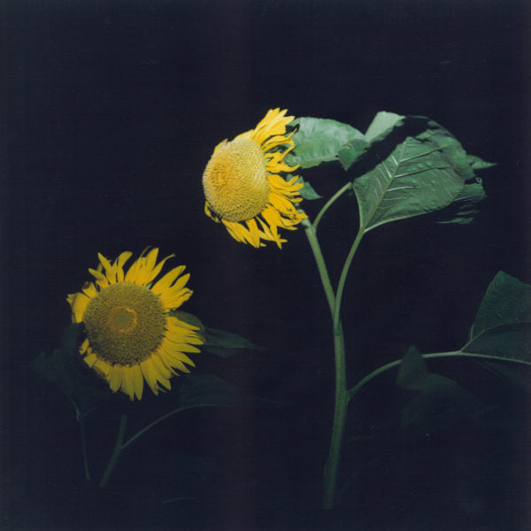 Rinko Kawauchi — Utatane