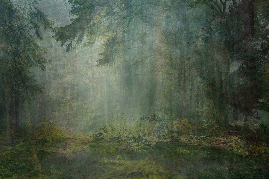 Amy Elkins — Black is the Day, Black is the Night