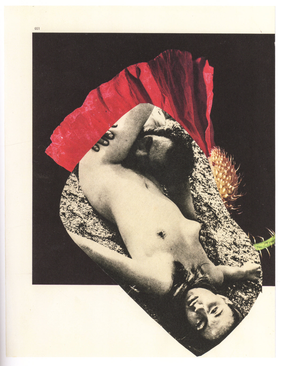 Vincent Delbrouck — Sharon Stone, La Vie des Animaux - Vol.1