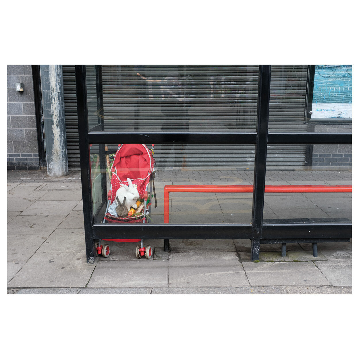 David Solomons — Kippers and Curtains