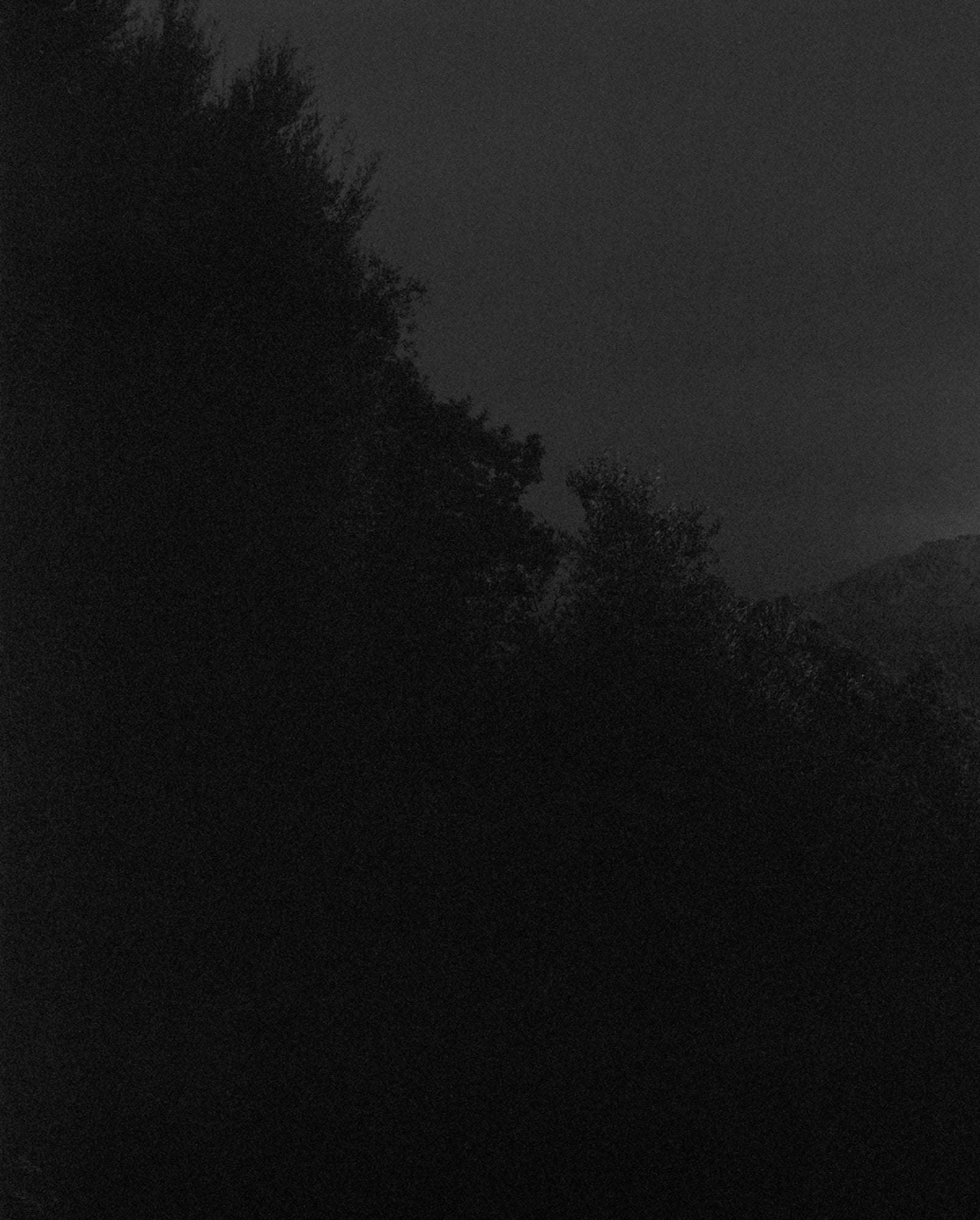 Awoiska van der Molen — Sequester