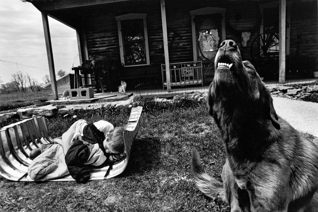 Larry Towell — The World from my Front Porch
