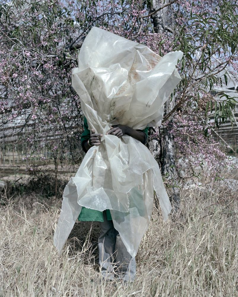 Jackie Nickerson — Terrain