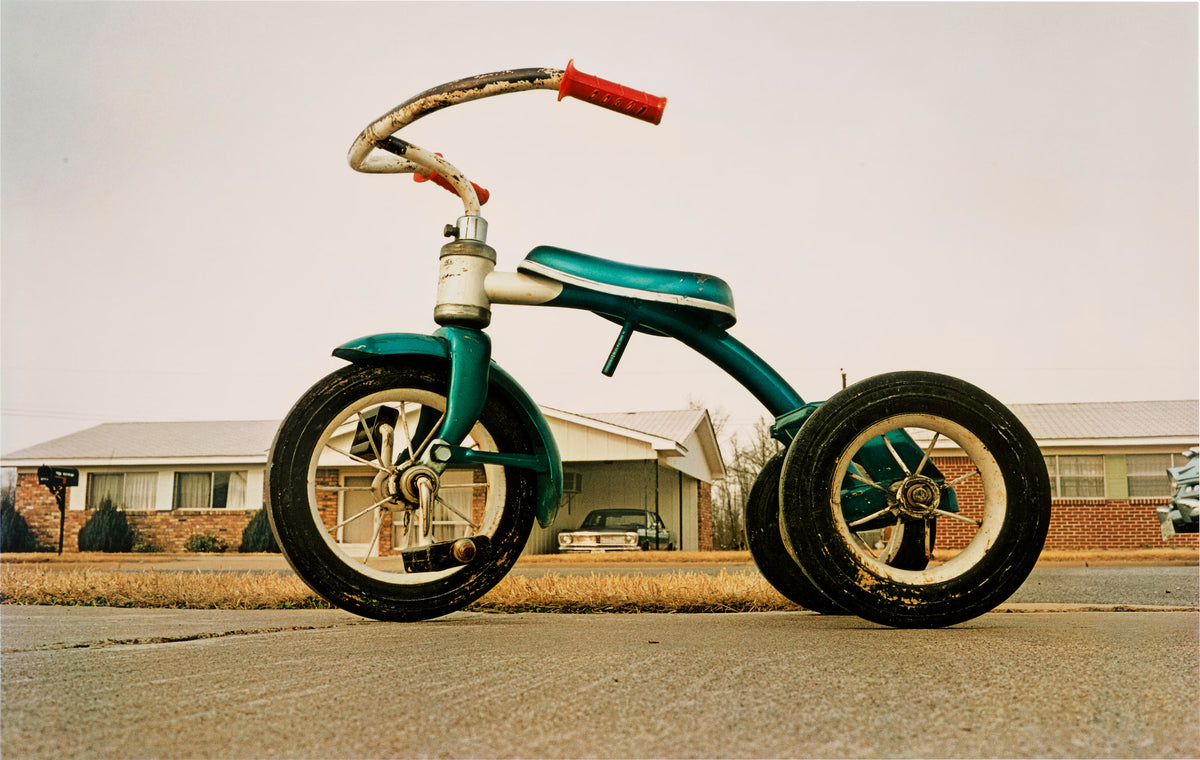 William Eggleston — William Eggleston's Guide