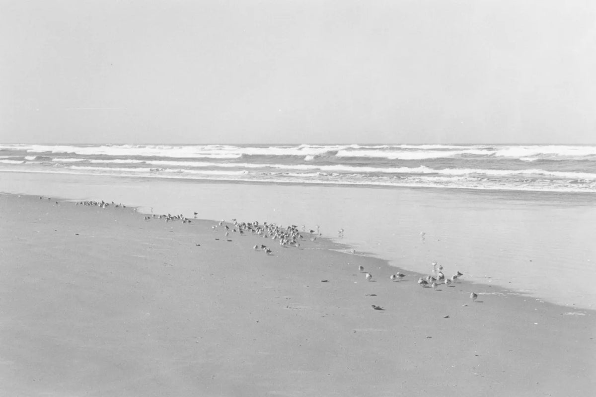 Robert Adams — Sea Stories