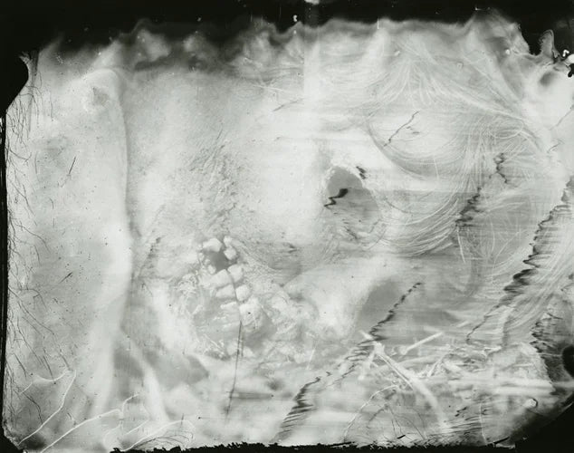 Sally Mann — What Remains