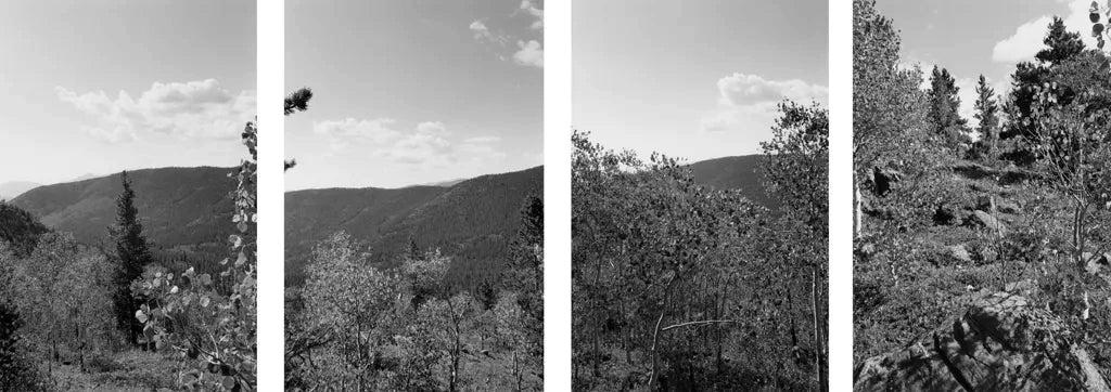 Robert Adams — Listening to the River