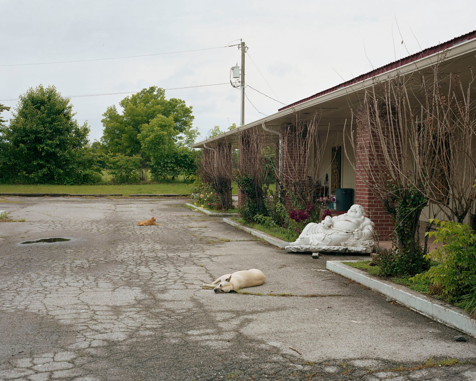 Alec Soth — A Pound of Pictures