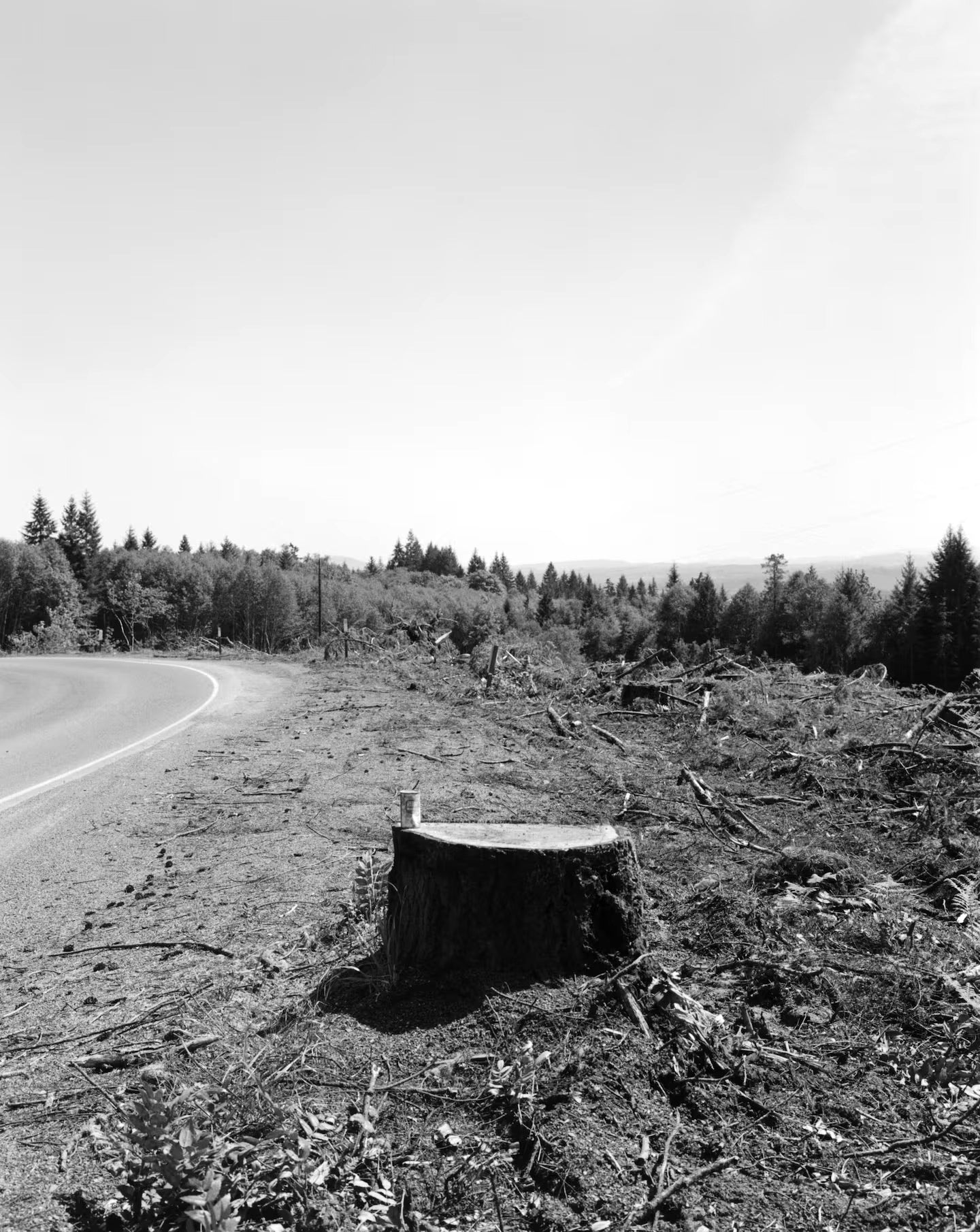 Robert Adams — Turning Back