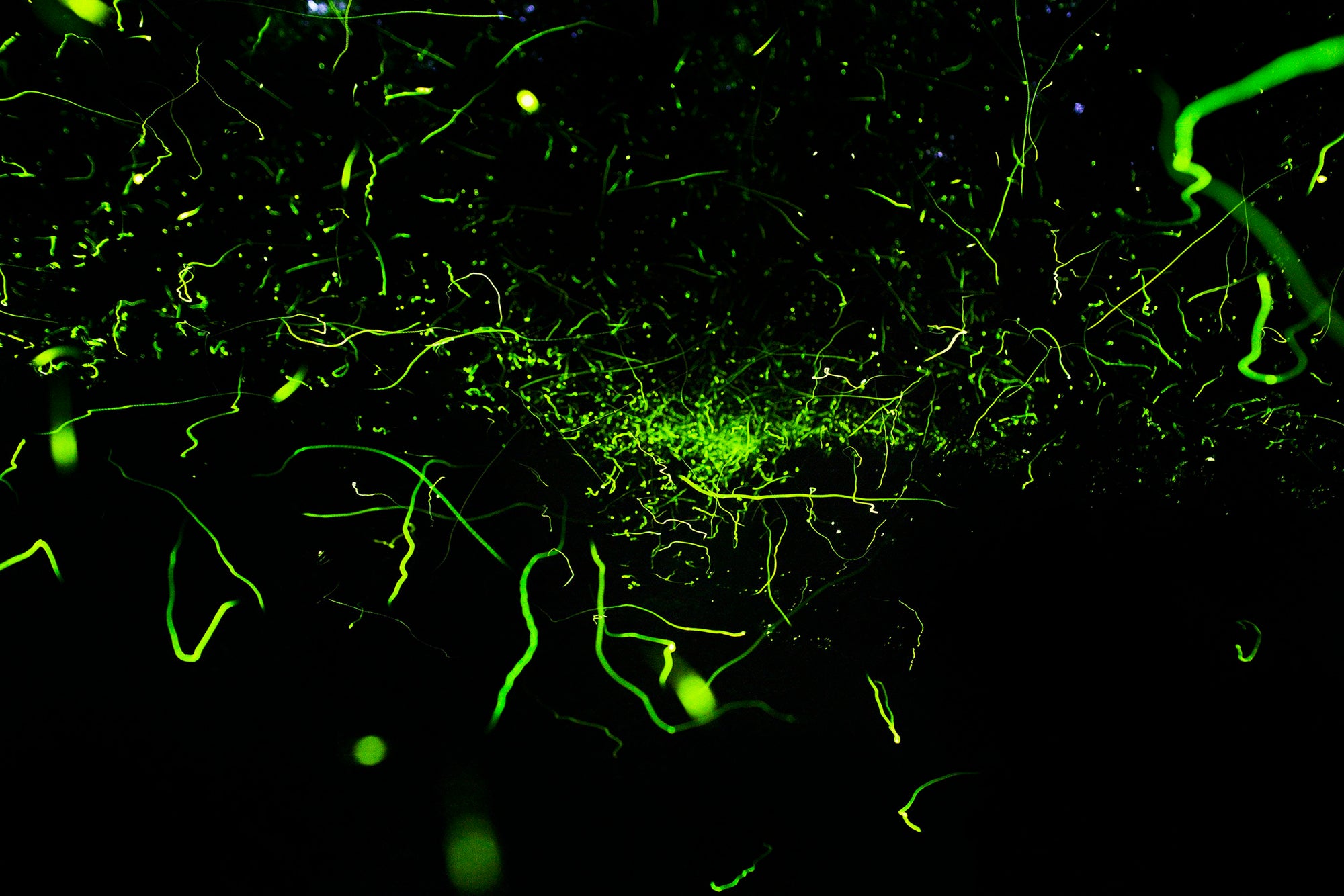 Samuel James — Nightairs