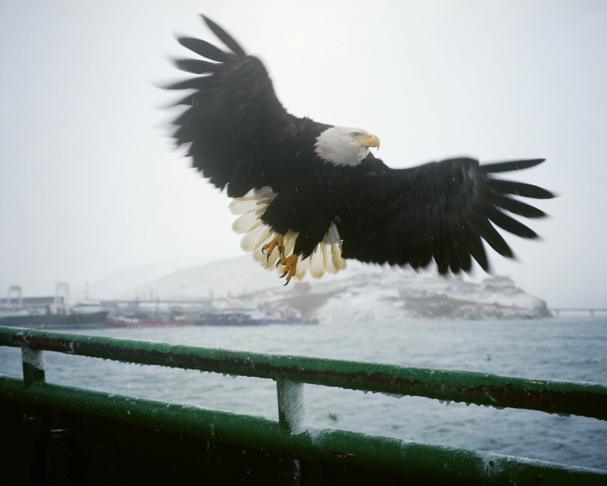 Corey Arnold — Fish-Work: The Bering Sea
