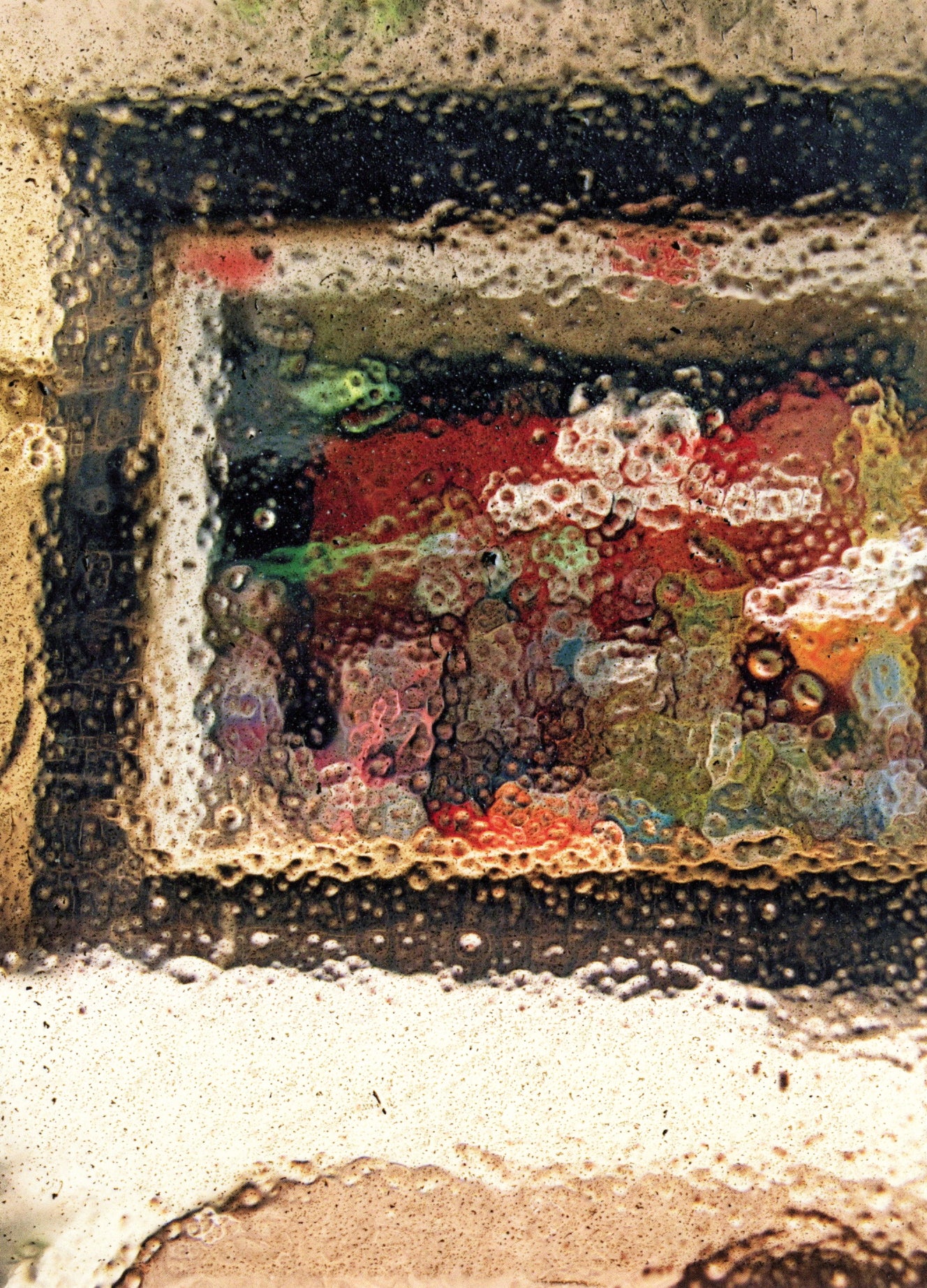 Stephen Gill — Coexistence