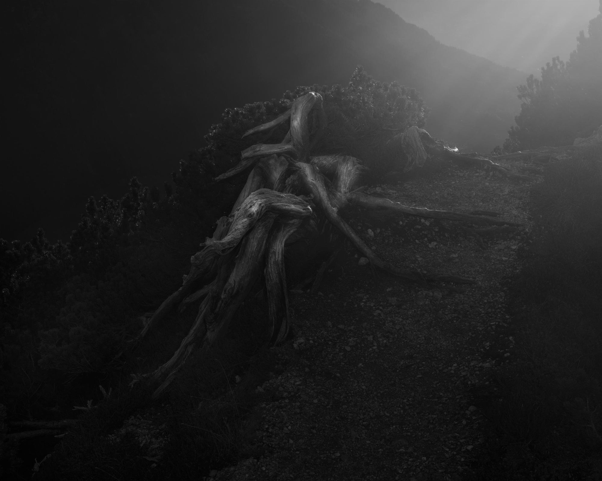 Rick van der Klooster — Between the Mountain and the River