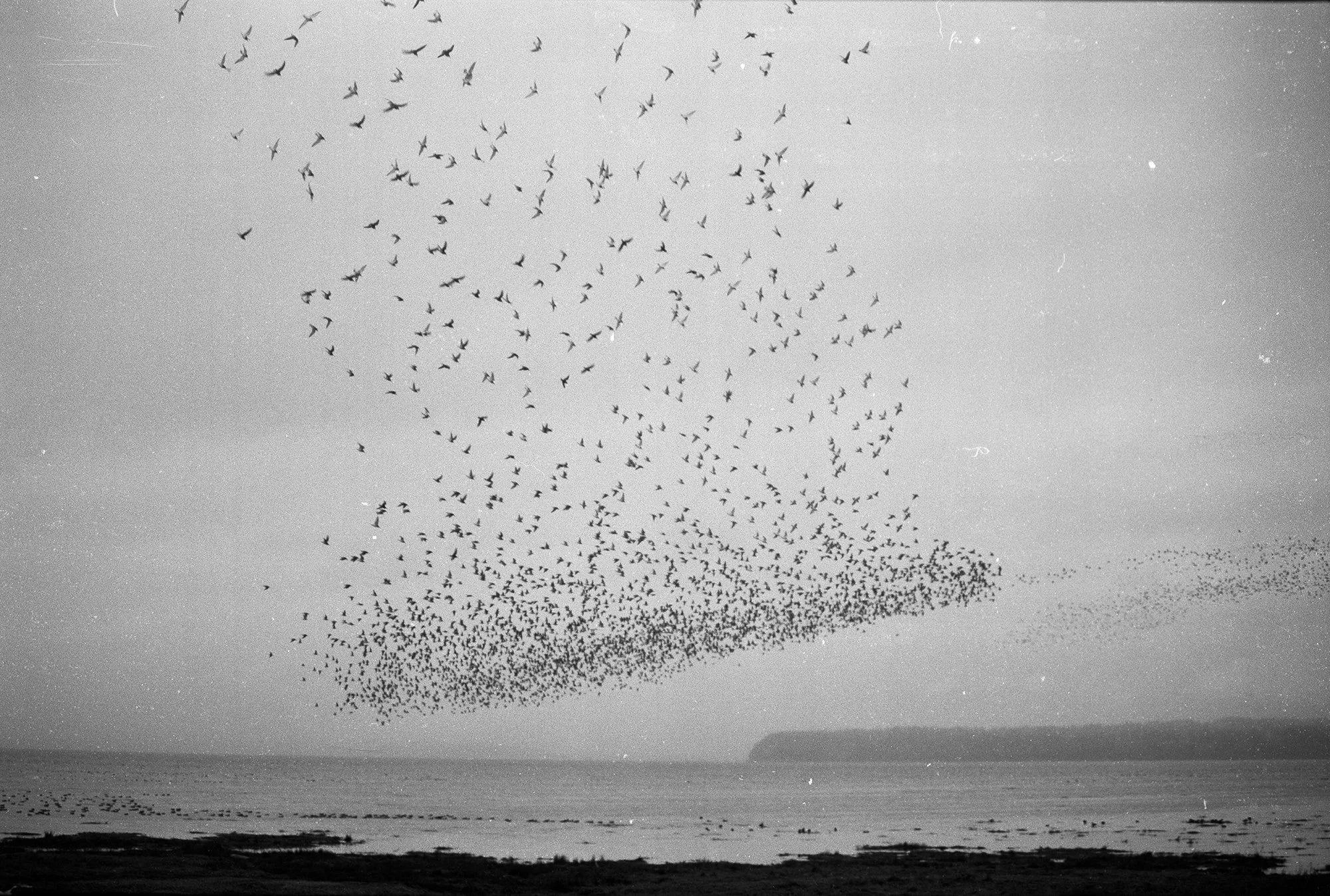 Marshall To — Blank Notes