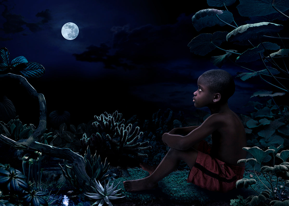 Ruud van Empel — Moon World Venus