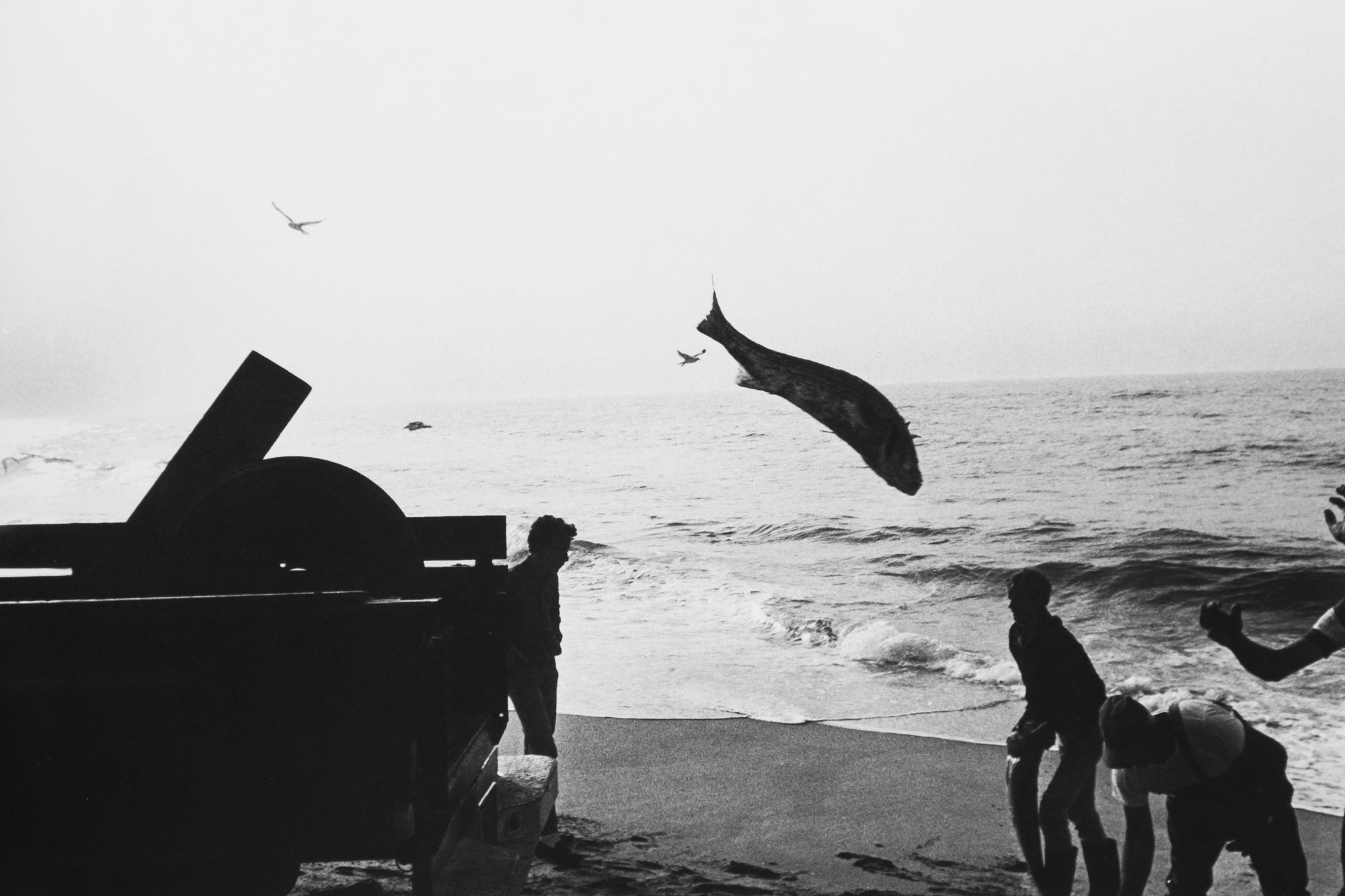 Garry Winogrand — The Game of Photography