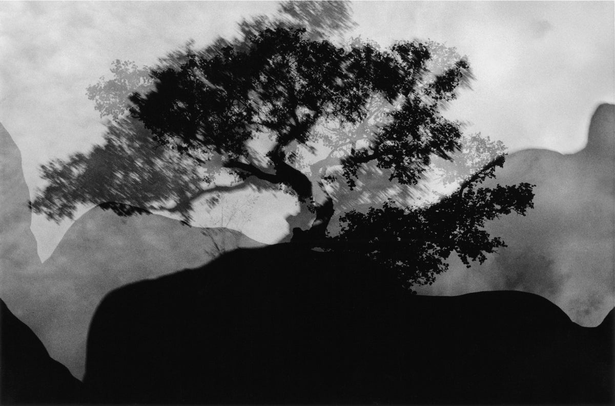 Machiel Botman — Rainchild