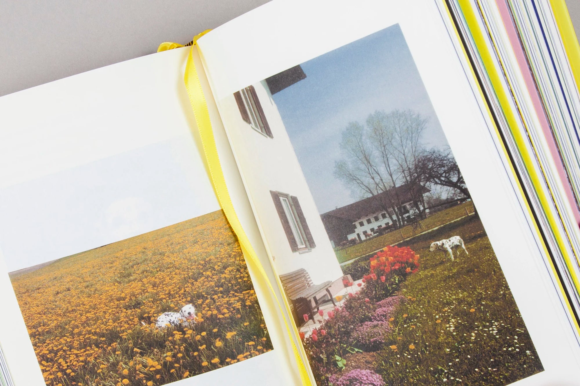 Erik Kessels — The Many Lives of Erik Kessels