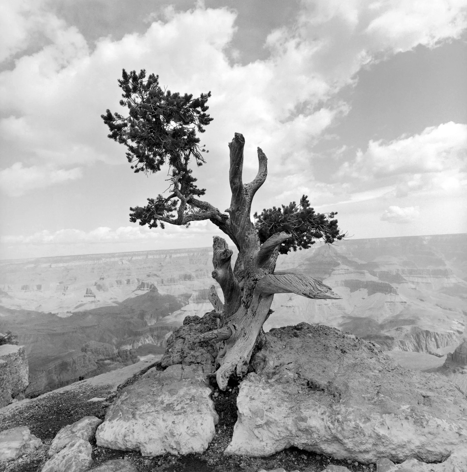 Lee Friedlander — Western Landscapes