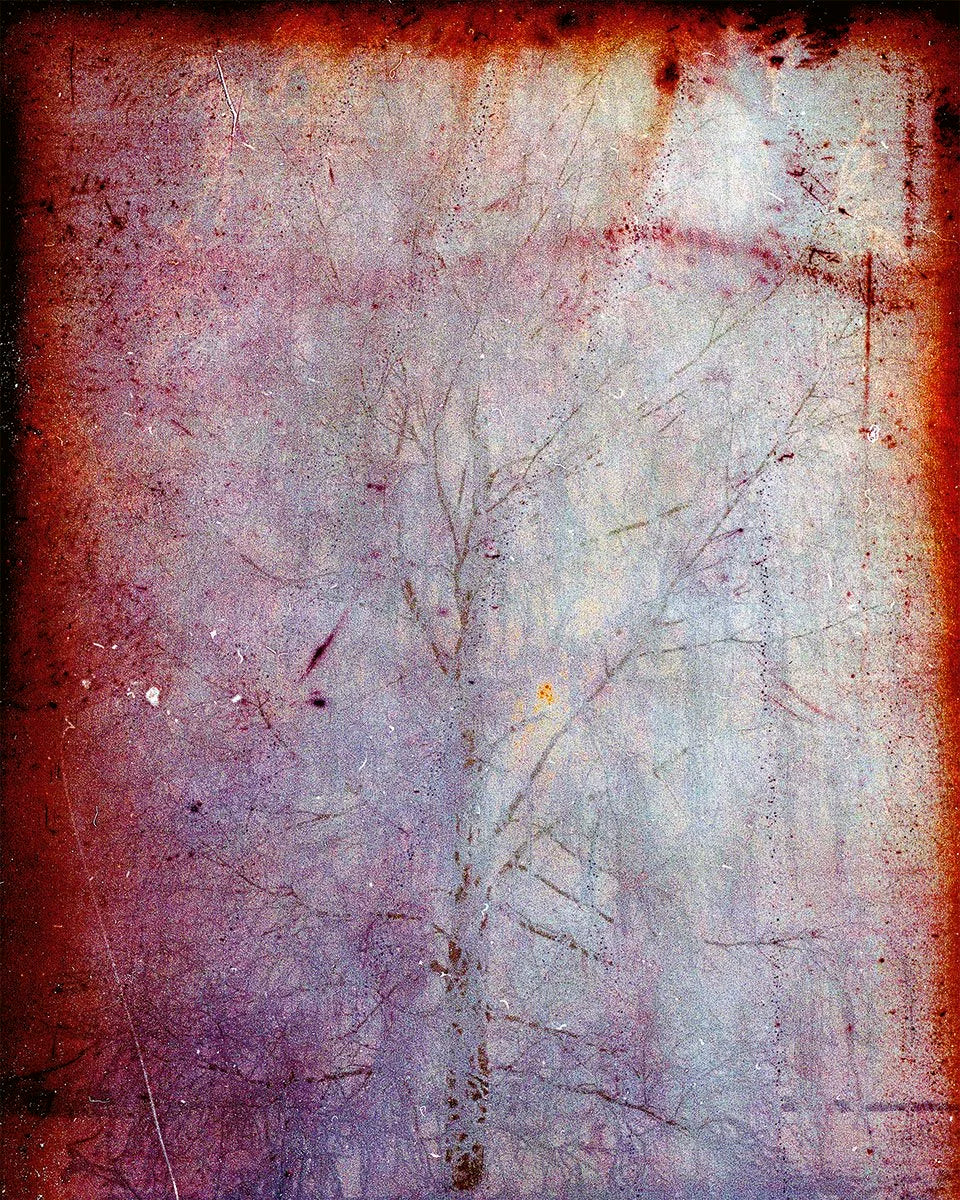 JH Engström — Dimma Brume Mist