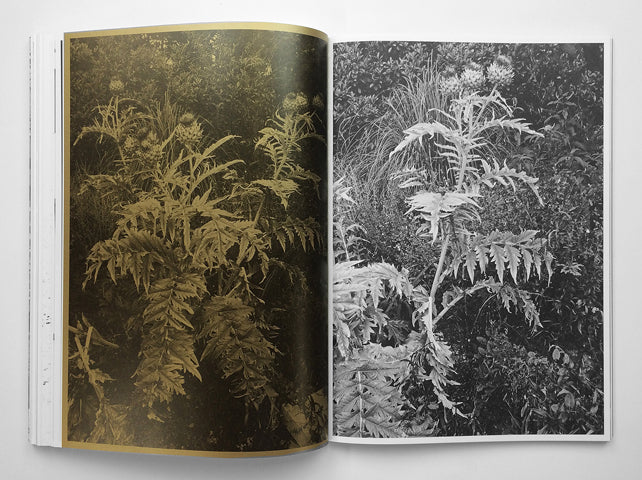 Stephan Keppel — Entre Entree