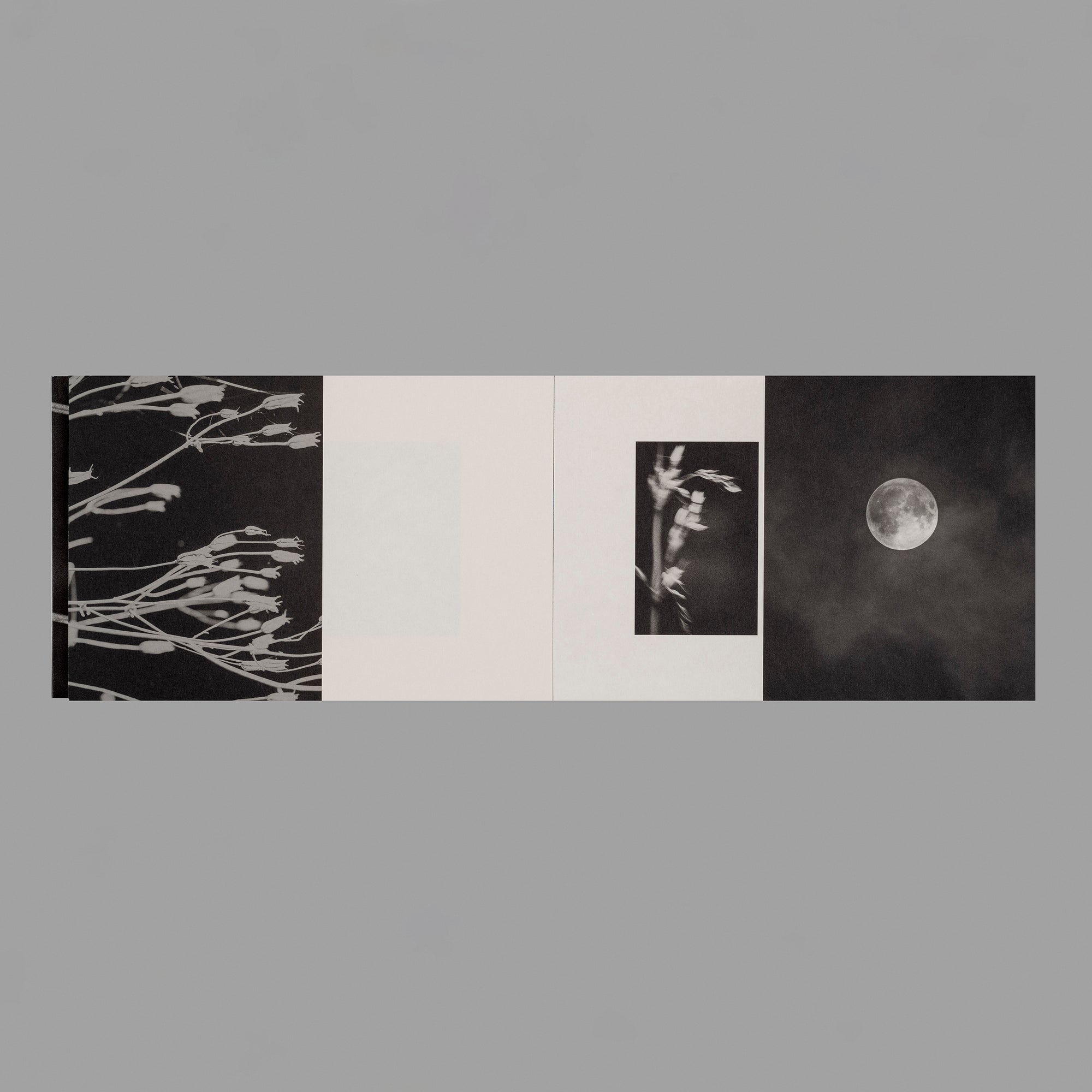 Hans Bol — On My Doorstep