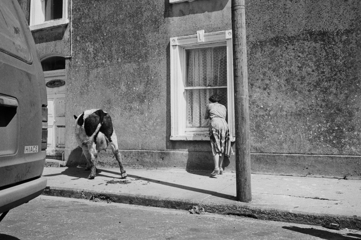 Martin Parr — A Fair Day: Photographs from the West of Ireland