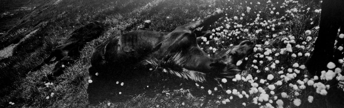 Josef Koudelka — Piedmont