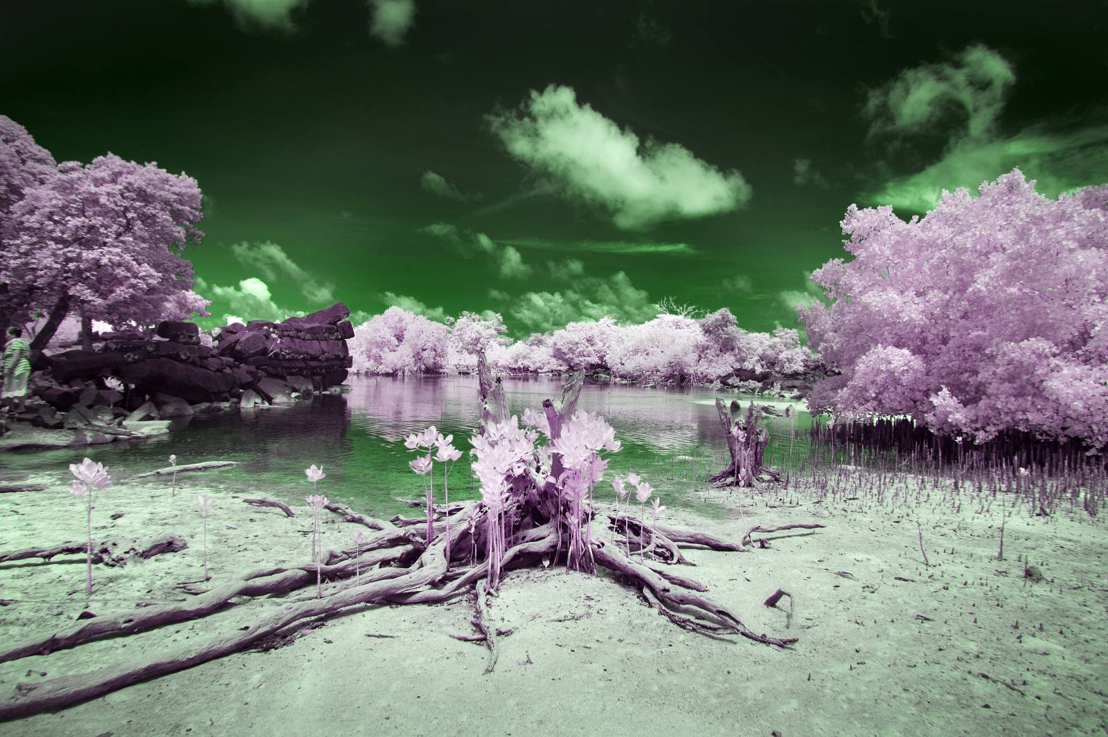 Sanne De Wilde — The Island of the Colorblind