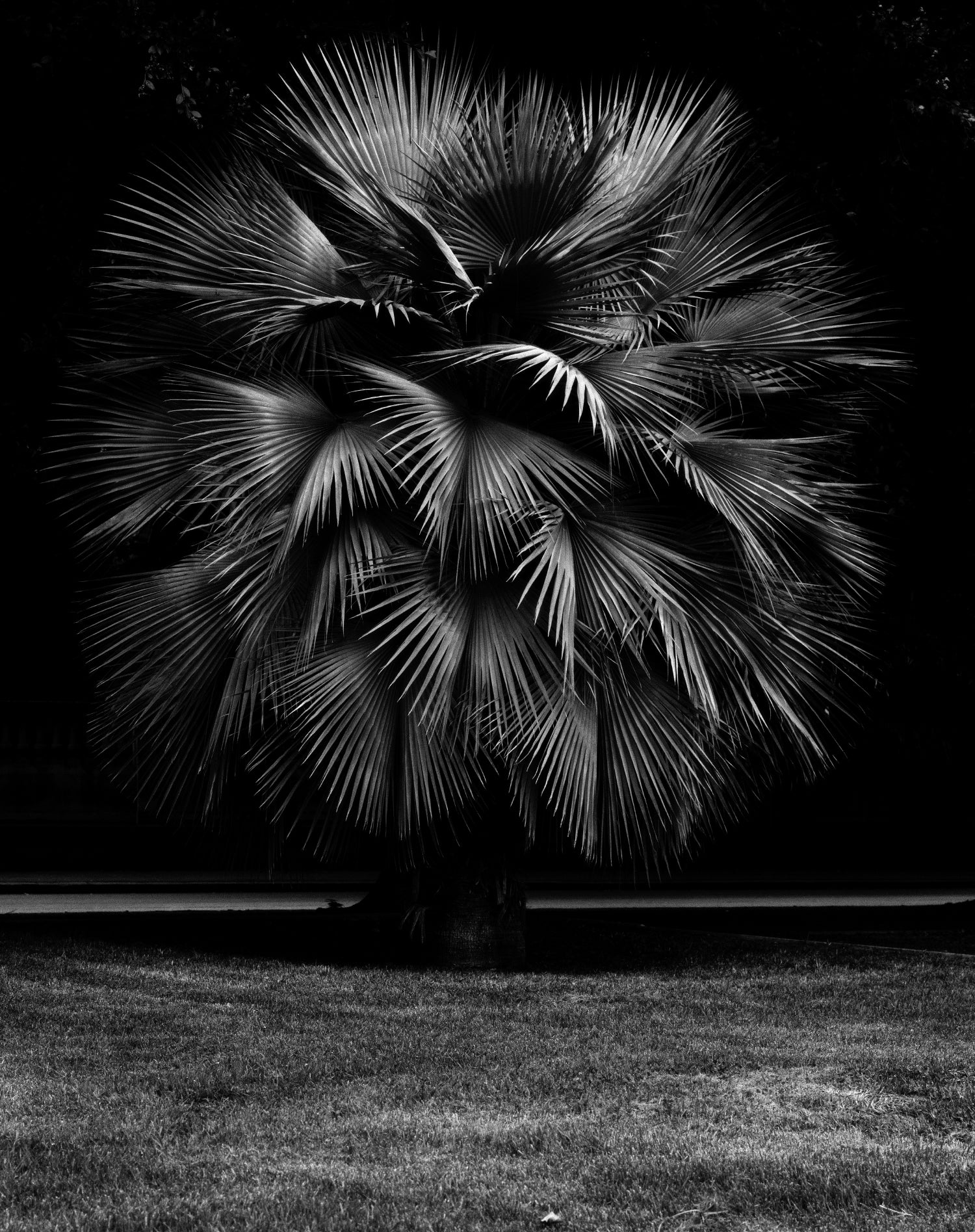 Geert Goiris — Proliferation