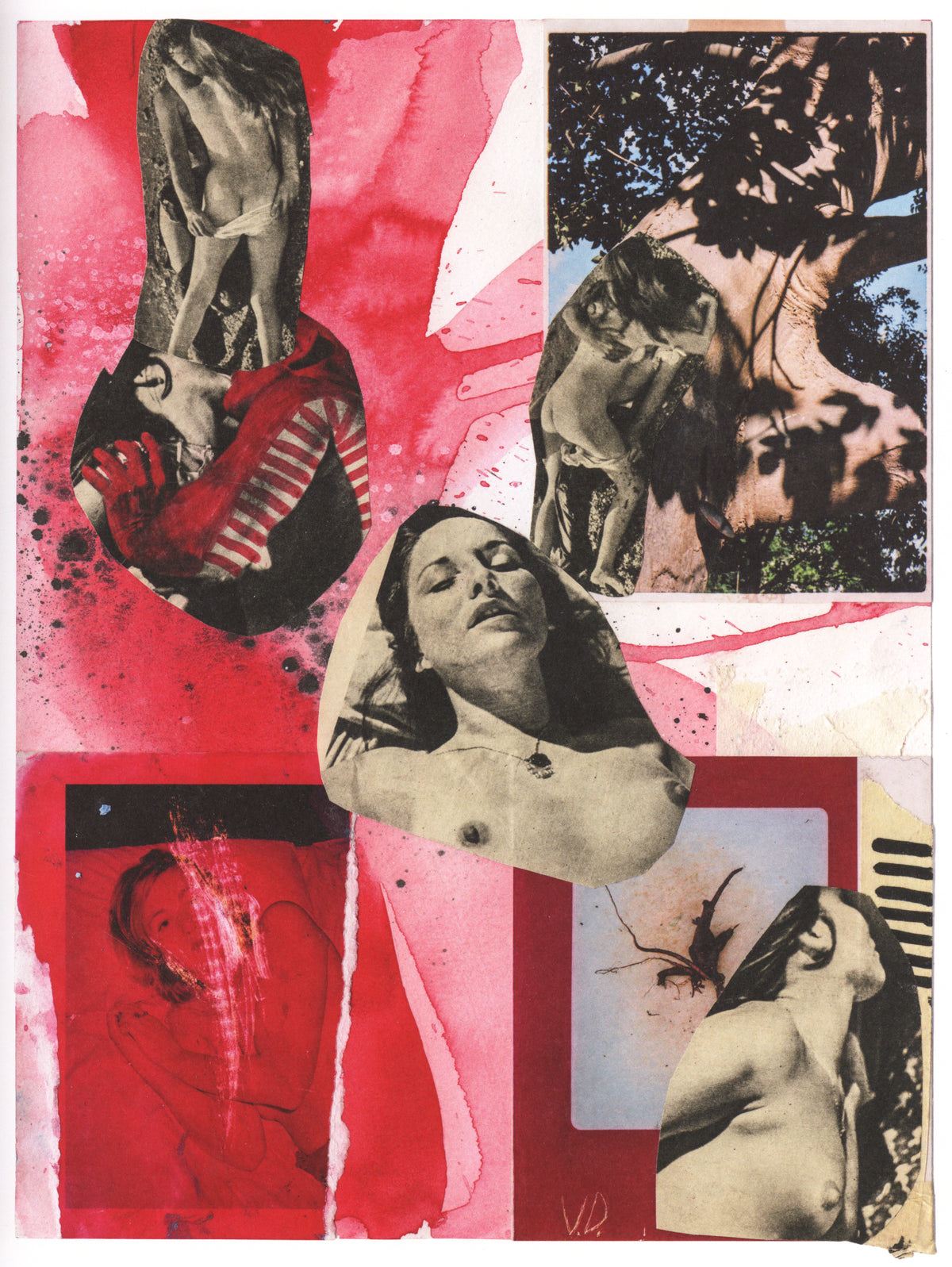 Vincent Delbrouck — Sharon Stone, La Vie des Animaux - Vol.1
