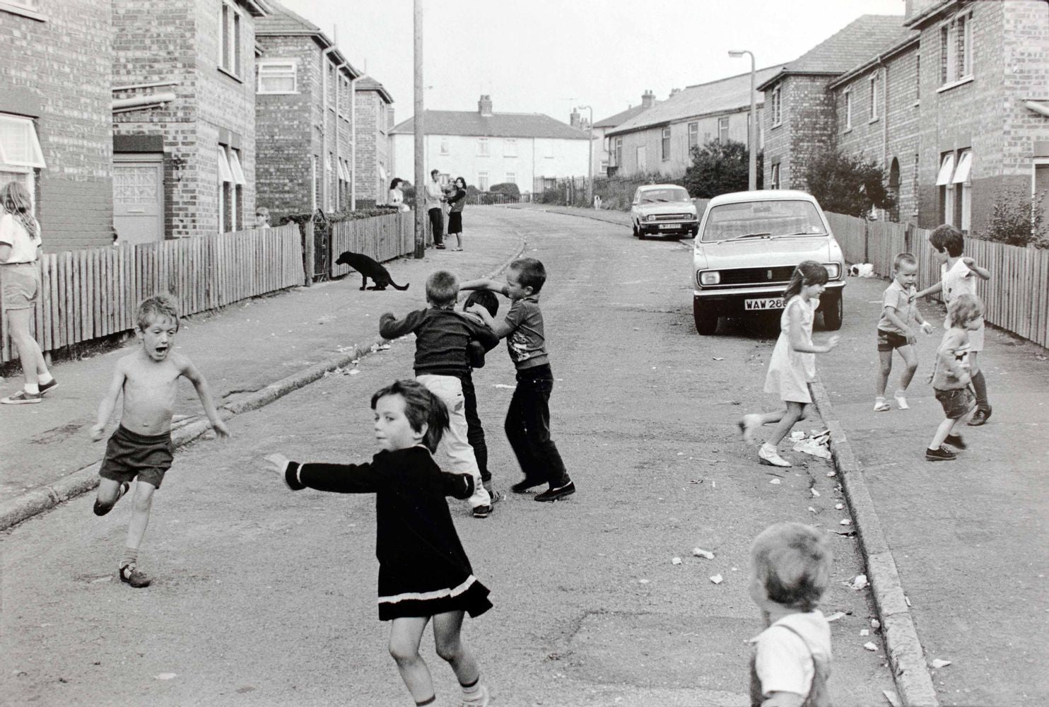 Tom Wood — Photie Man