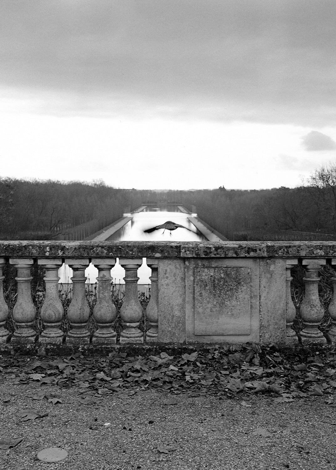 Mark Steinmetz — France 1987