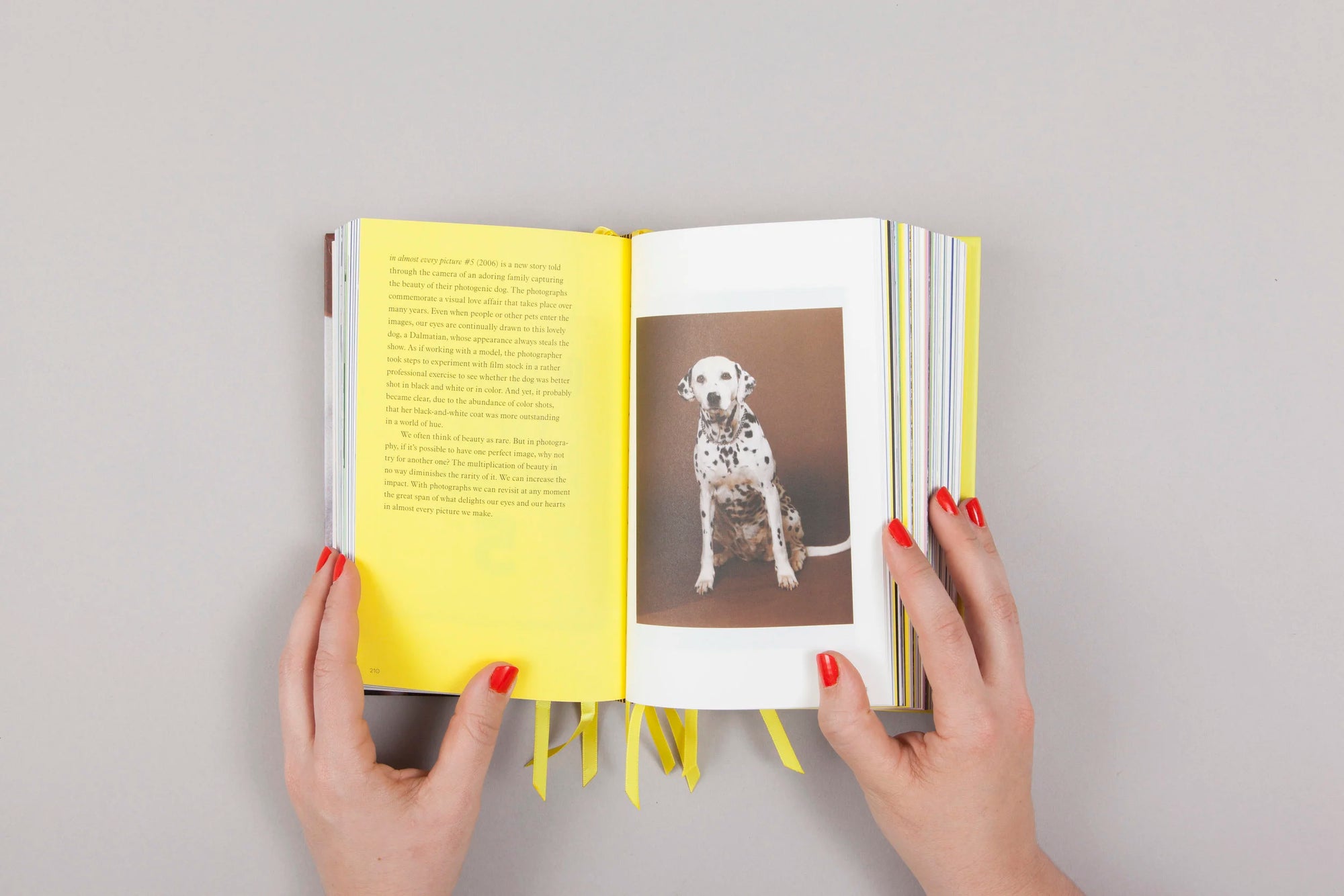 Erik Kessels — The Many Lives of Erik Kessels