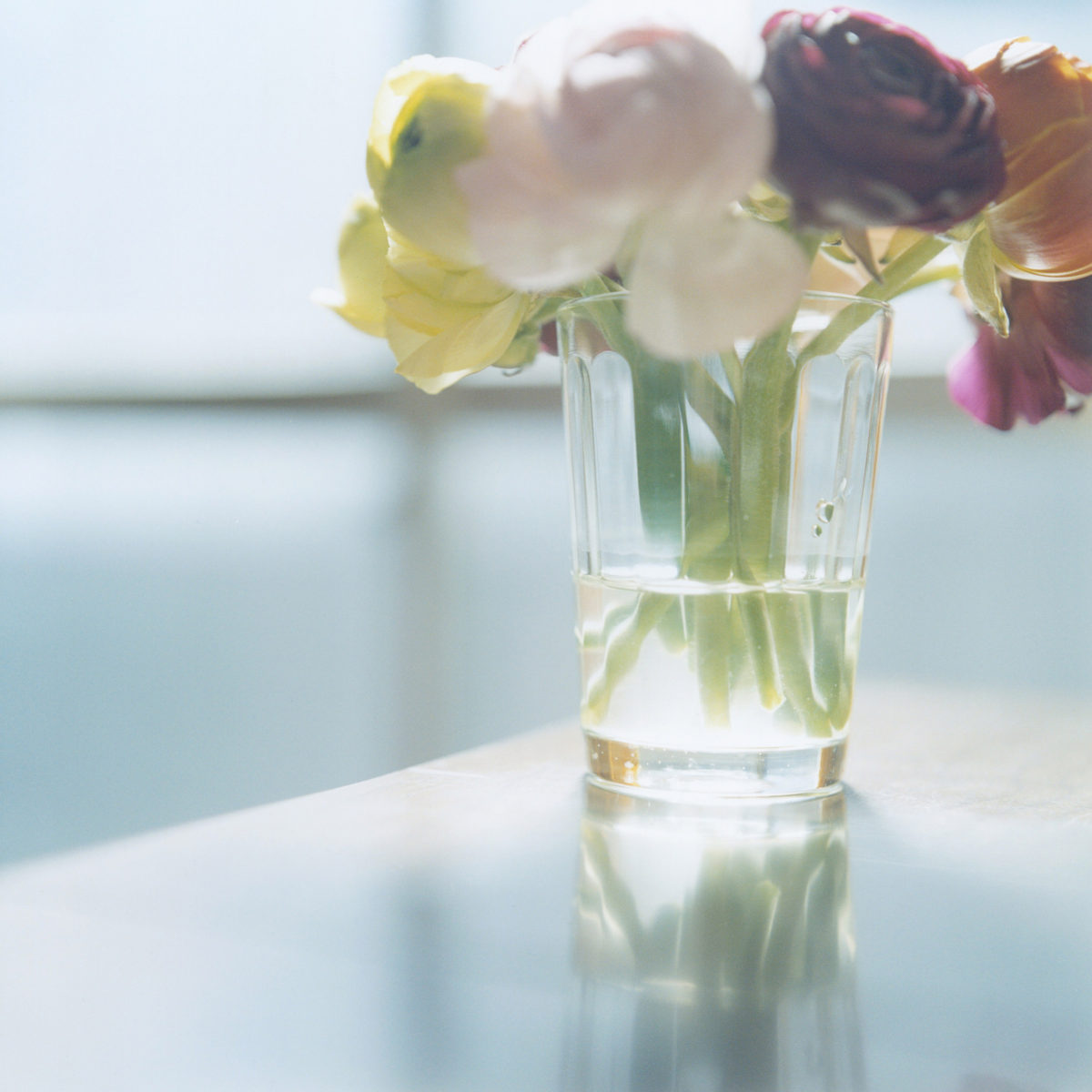 Rinko Kawauchi — The Eyes, The Ears