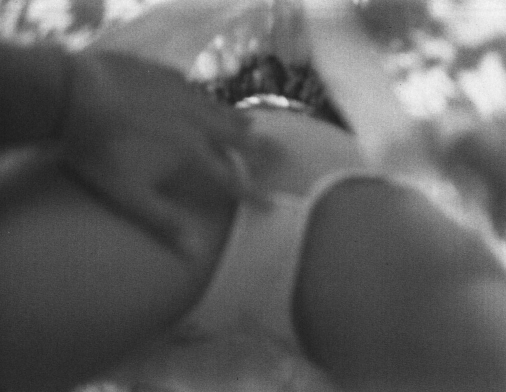 Zhu Mo — The Emptiness (Zine Collection No. 3)