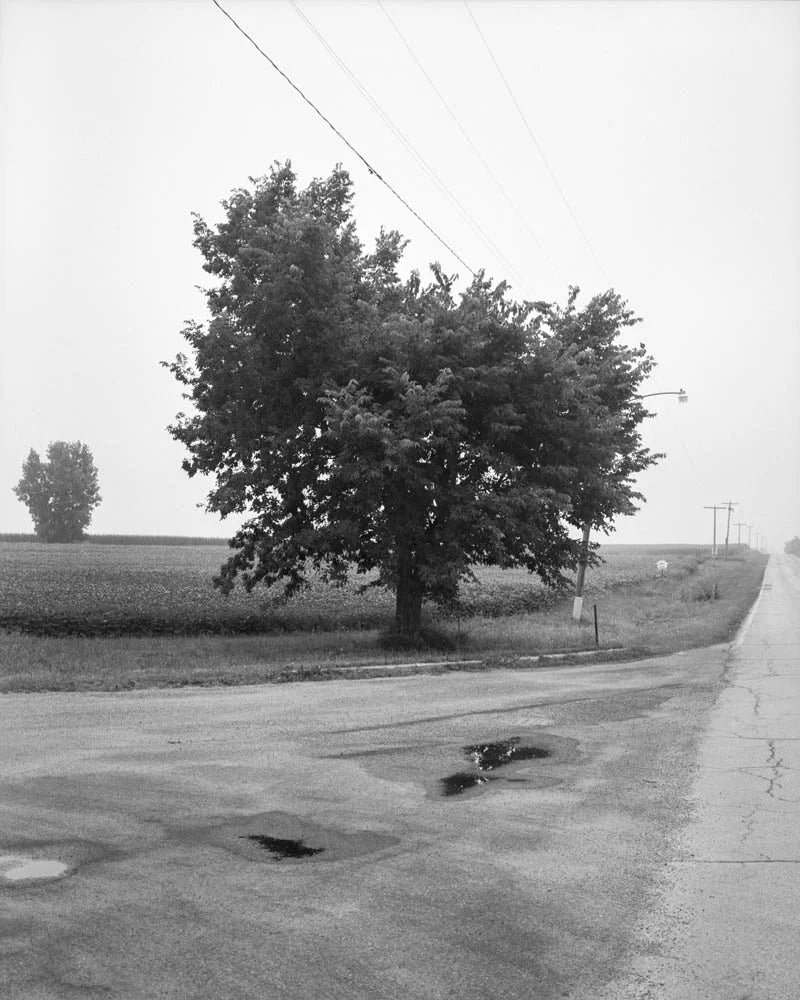 Tim Carpenter — Local Objects