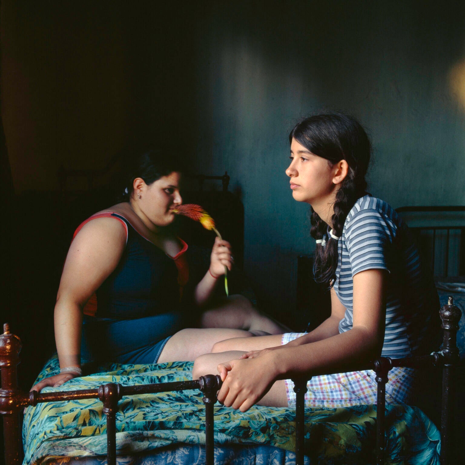Alessandra Sanguinetti — The Adventures of Guille and Belinda and The Enigmatic Meaning of Their Dreams
