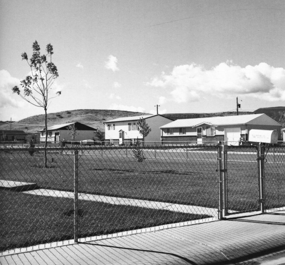 Robert Adams — What Can We Believe Here?
