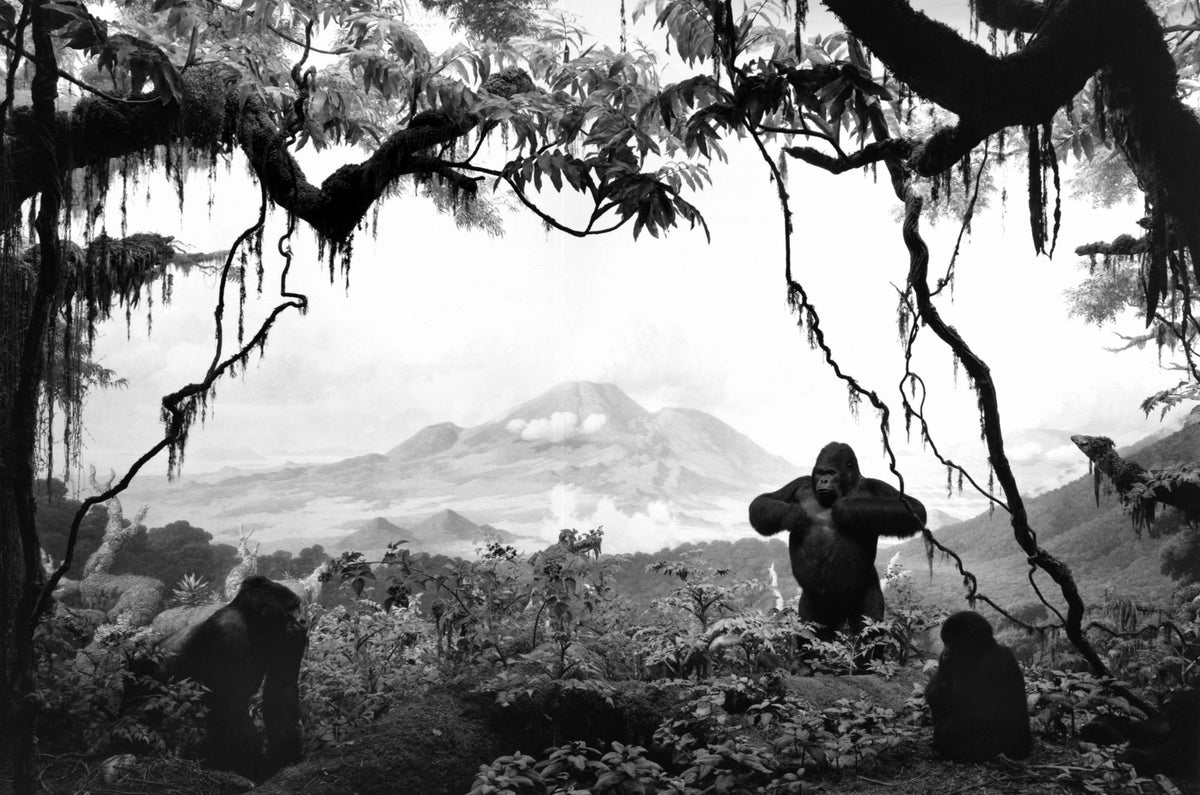 Hiroshi Sugimoto — Dioramas