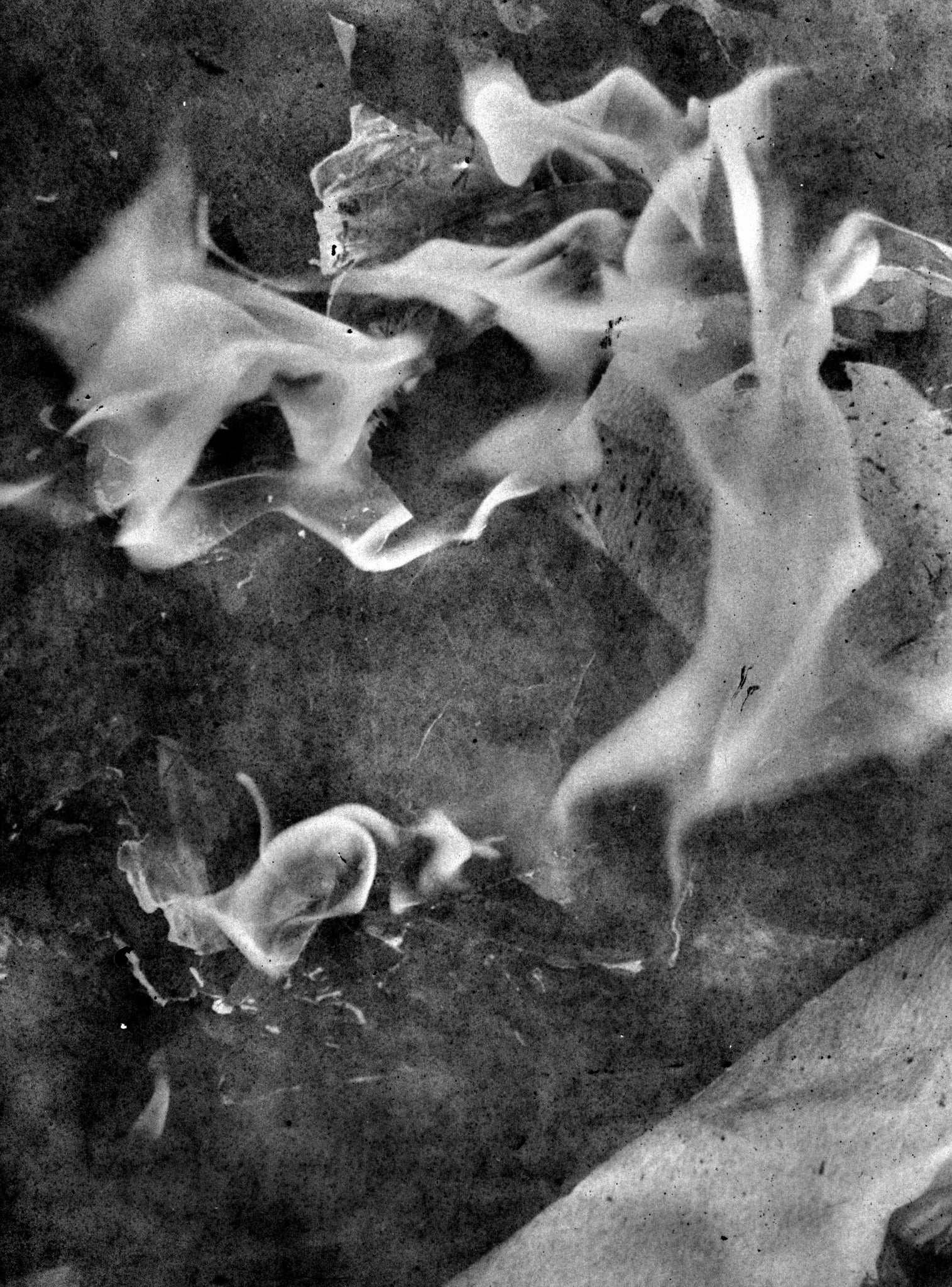 Daisuke Yokota — Matter / Burn Out