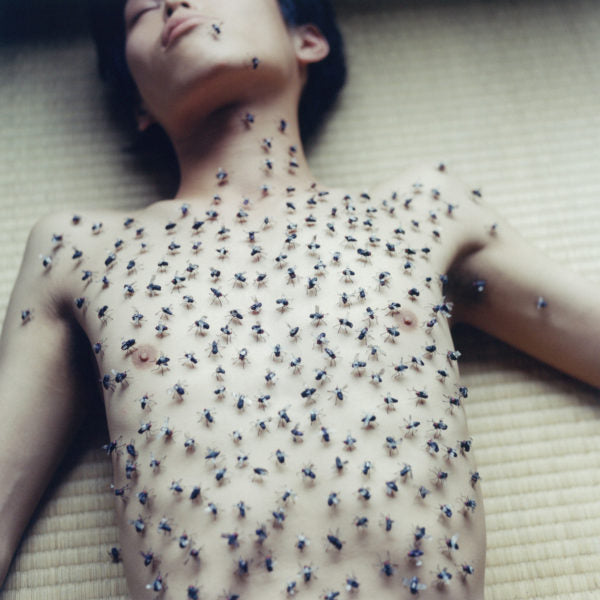 Rinko Kawauchi — Utatane