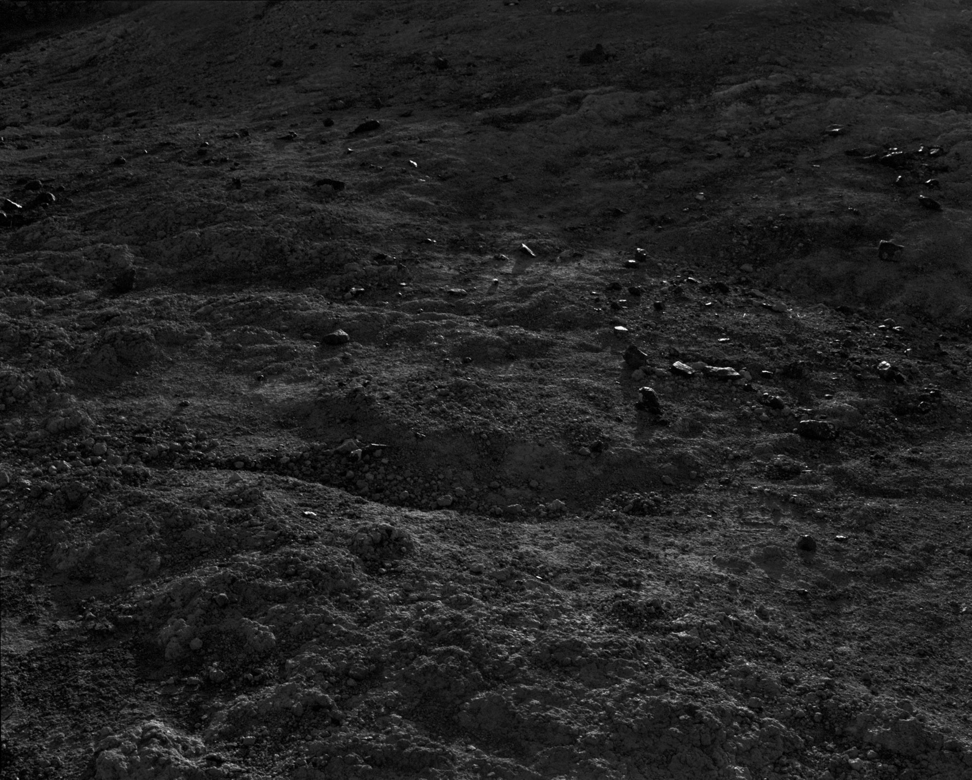 Awoiska van der Molen — Sequester